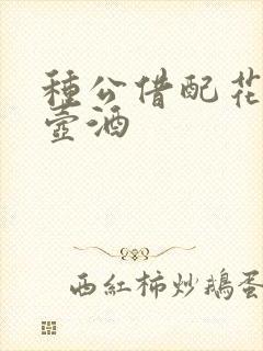 种公借配花间一壶酒