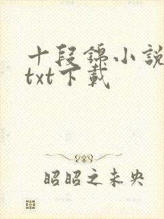 十段锦小说全本txt下载