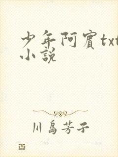 少年阿宾txt小说