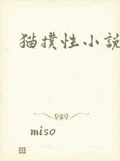 猫扑性小说