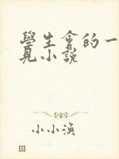 学生会的一己之见小说