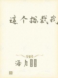 这个总裁我要了