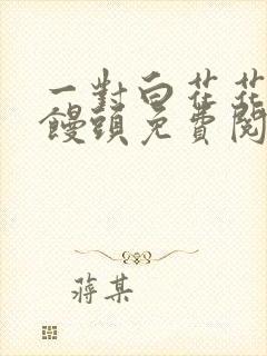 一对白花花的大馒头免费阅读