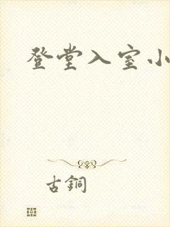 登堂入室小说