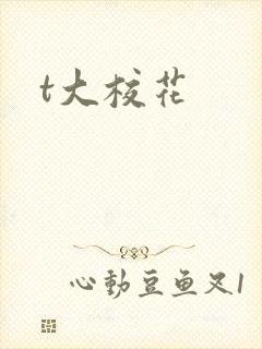 t大校花