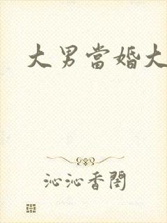 大男当婚大结局