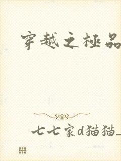 穿越之极品皇帝