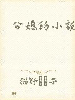 公媳的小说
