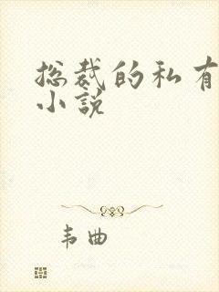 总裁的私有宝贝小说