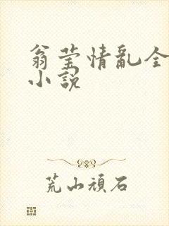 翁莹情乱全部篇小说