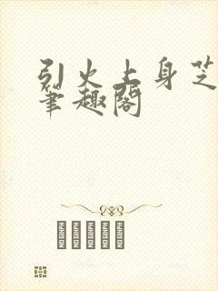 引火上身芝麻糖笔趣阁