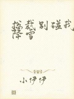 总裁别碰我 韩降雪