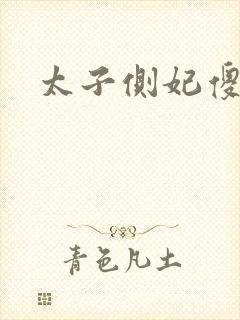 太子侧妃傻乎乎