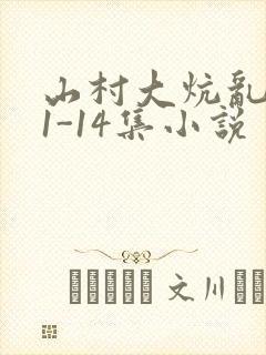 山村大炕乱肉续1-14集小说