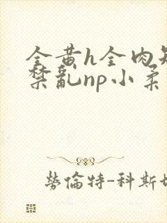 全黄h全肉短篇禁乱np小柔
