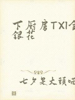 下厨房TXl金银花