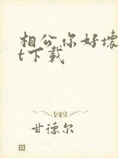 相公你好坏txt下载