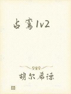 占鸾1v2