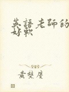 英语老师的兔子好软