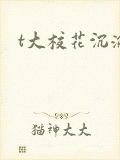 t大校花沉沦