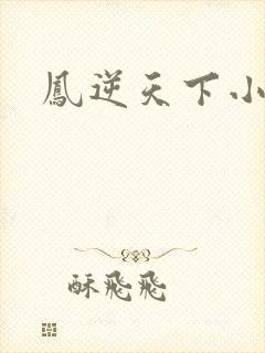 凤逆天下小说
