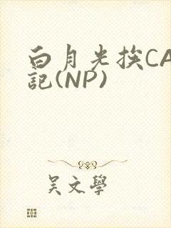 白月光挨CAO记(NP)