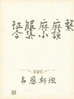 征服麻麻系列大合集小说