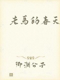 老马的春天敏静