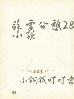 苏雪公憩28篇小说