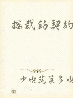 总裁的契约情人