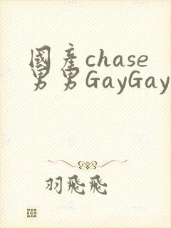 国产chase男男GayGay