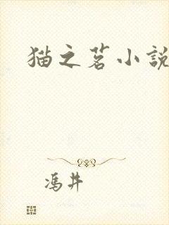 猫之茗小说