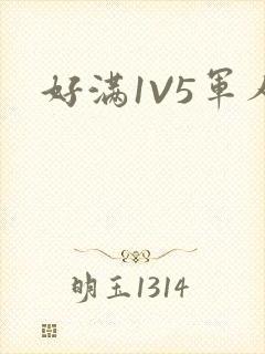 好满1V5军人