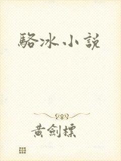 骆冰小说