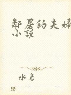 邻居的夫妇交换小说