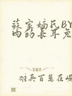 苏家嫡氏BY吃肉的长耳兔