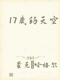 17岁的天空