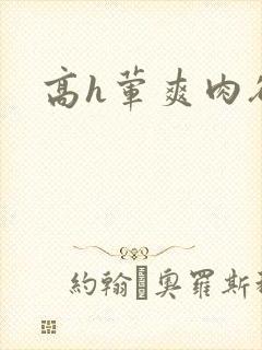 高h荤爽肉欲文