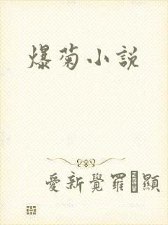 爆菊小说