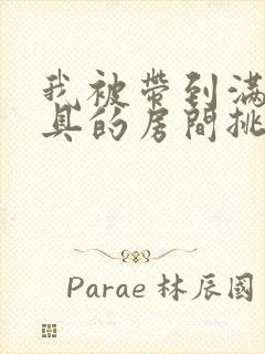 我被带到满是玩具的房间挑调游戏
