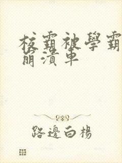 校霸被学霸玩到崩溃车