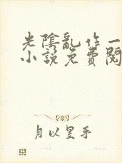 光阴乱作一团的小说免费阅读