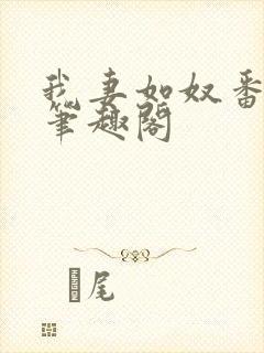 我妻如奴番外篇笔趣阁