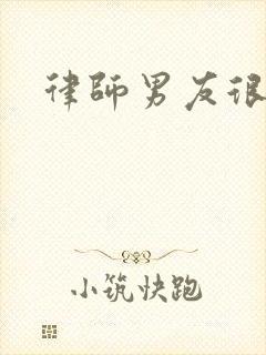 律师男友很难撩