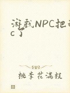 游戏NPC把我c了