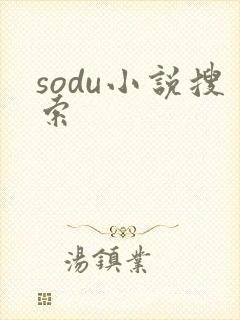 sodu小说搜索
