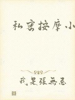 私密按摩小说