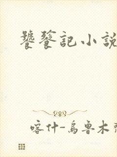 饕餮记小说
