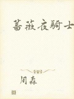 蔷薇夜骑士