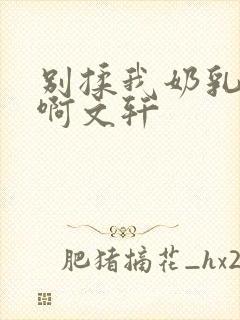 别揉我奶乳嗯～啊文轩
